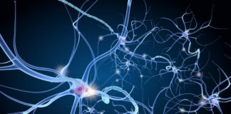 Research: Researchers identify pathway that drives sustained pain following injury —