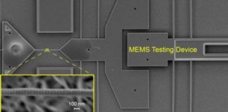 Tech: Collagen nanofibrils in mammalian tissues get stronger with exercise — (Report)
