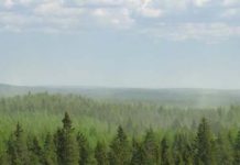 Research: Atmospheric aerosol formation from biogenic vapors is strongly affected by air pollutants —