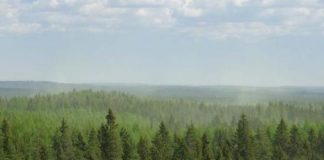 Research: Atmospheric aerosol formation from biogenic vapors is strongly affected by air pollutants —