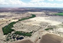 Research: Colorado River Delta report provides restoration road map —