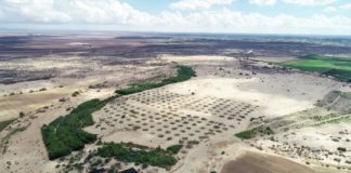 Research: Colorado River Delta report provides restoration road map —