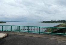 Research: A damming trend —