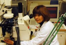 Research: The gene helping submerged plants —