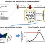 Study: Stop that clot! Quantitative assessment of the blood coagulation cascade — (Details)