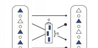 Study: Communication between neural networks — (Details)