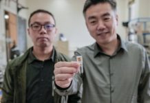 Research: Tiny implantable device short-circuits hunger pangs, aids weight loss —