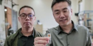 Research: Tiny implantable device short-circuits hunger pangs, aids weight loss —