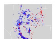 Research: Even forest trees growing in average conditions may decline in productivity as much as 75 percent —