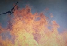 Research: New insights on animal movement in fire-prone landscapes —