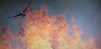Research: New insights on animal movement in fire-prone landscapes —
