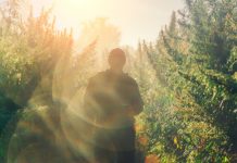 Research: Whether genetic changes can be reversed or are passed on to children is still unknown —