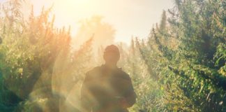 Research: Whether genetic changes can be reversed or are passed on to children is still unknown —