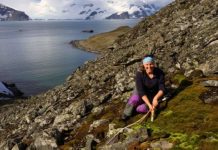 Research: Terrestrial ecosystems are vulnerable to single introduced insect species —