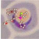 Study: Gold-complexed ferrocenyl phosphines as potent antimalarials — (Details)
