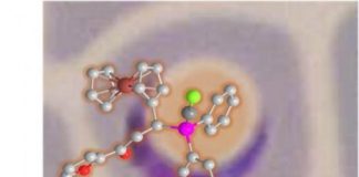 Study: Gold-complexed ferrocenyl phosphines as potent antimalarials — (Details)