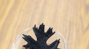 Tech: New composite advances lignin as a renewable 3D printing material — (Report)