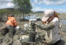 Research: Loss of intertidal ecosystem exposes coastal communities —