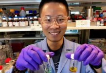 Tech: A streamlined pathway to value-added molecules — (Report)