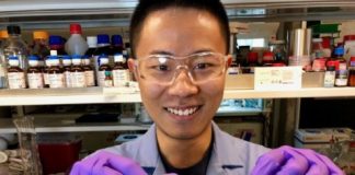 Tech: A streamlined pathway to value-added molecules — (Report)