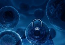 Tech: Better security achieved with randomly generating biological encryption keys — (Report)