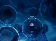 Tech: Better security achieved with randomly generating biological encryption keys — (Report)