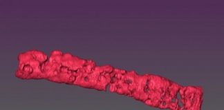 Study: Micropores let oxygen and nutrients inside biofabricated tissues — (Details)