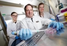 Research: New mechanism could be ‘huge leap’ for immunology —