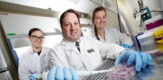 Research: New mechanism could be ‘huge leap’ for immunology —