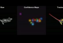 Tech: Translating the ‘language of behavior’ with artificially intelligent motion capture — (Report)