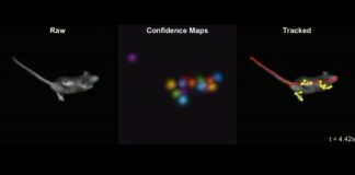 Tech: Translating the ‘language of behavior’ with artificially intelligent motion capture — (Report)