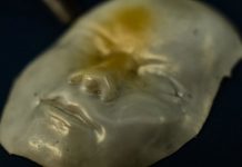 Research: Sophisticated shape-shifters for soft robots, biomedical applications —