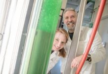 Research: Photosynthetic complex I is a key element in photosynthetic electron transport, but little has been known about it so far —