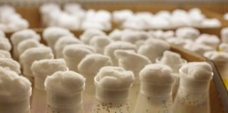 Study: Discovery advances work on antidotes to hangover and intoxication — (Details)