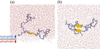 Study: Formation mechanism of the causative substances of Alzheimer’s disease revealed by molecular dynamics simulations and NMR experiments — (Details)