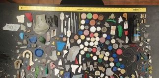 Research: Marine debris study counts trash from Texas to Florida —