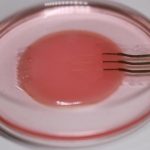 Study: Engineers create delicate sensor to monitor heart cells with minimal disruption — (Details)