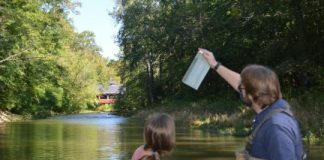 Research: Nutrient, sediment runoff impacted differently over time —