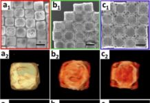 Tech: Carrying and releasing nanoscale cargo with ‘nanowrappers’ — (Report)