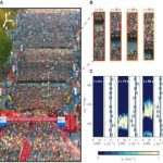 Study: A model for describing the hydrodynamics of crowds — (Details)