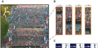 Study: A model for describing the hydrodynamics of crowds — (Details)
