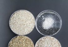 Research: A ‘bran’ new way to preserve healthy food with natural ingredients —