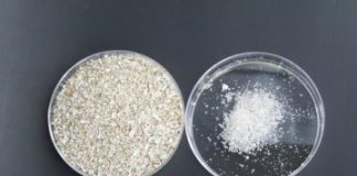 Research: A ‘bran’ new way to preserve healthy food with natural ingredients —