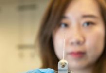 Tech: Technique allowed continuous study of cobalt nanoparticles as they grew — (Report)