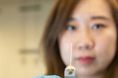 Tech: Technique allowed continuous study of cobalt nanoparticles as they grew — (Report)