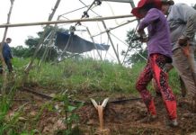 Tech: Socio-economic study looks at boosting Panama Canal reliability — (Report)