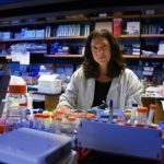 Study: High-fat diets appear bad for blood pressure in younger males and females — (Details)