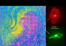 Tech: Holographic color printing for optical security — (Report)