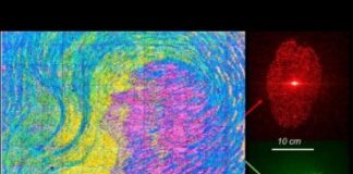 Tech: Holographic color printing for optical security — (Report)