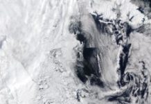 Research: New technology offers unprecedented look at life beneath sea ice in important ocean region —